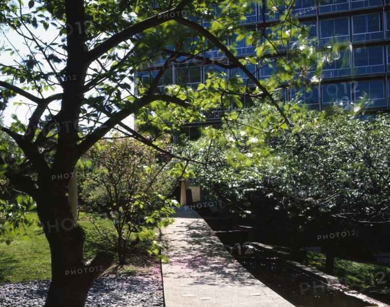 Jardin de l'Unesco à Paris