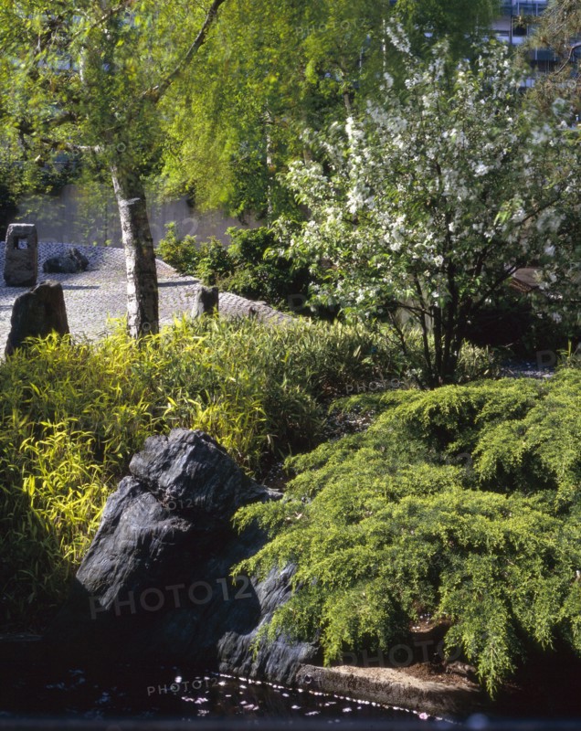 Jardin de l'Unesco à Paris