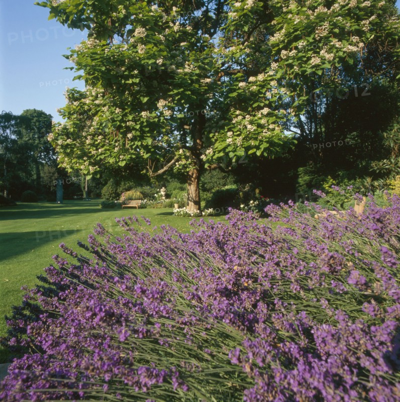 Jardins de l'Ambassade de Grande-Bretagne à Paris