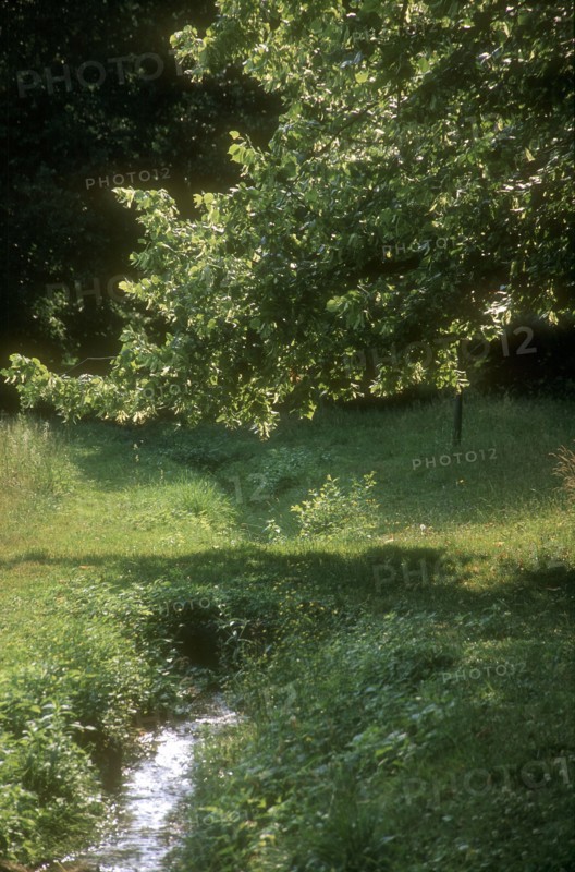Arboretum de l'école du Breuil à Paris