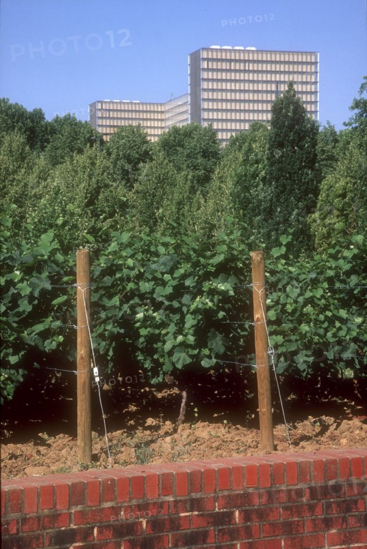 Parc de Bercy à Paris