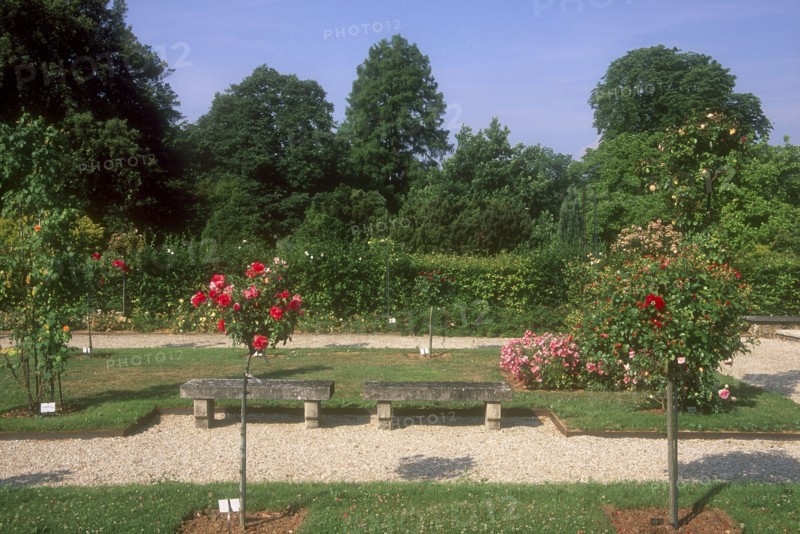 Arboretum de l'école du Breuil à Paris