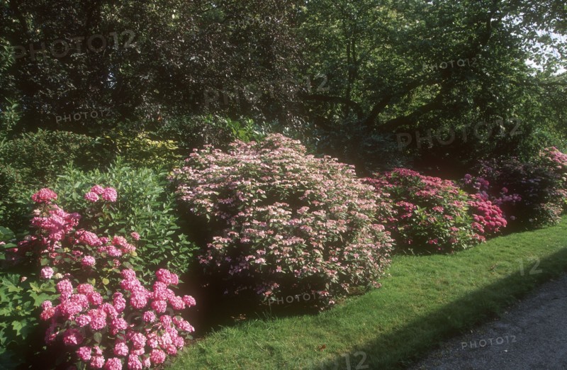 Arboretum de l'école du Breuil à Paris