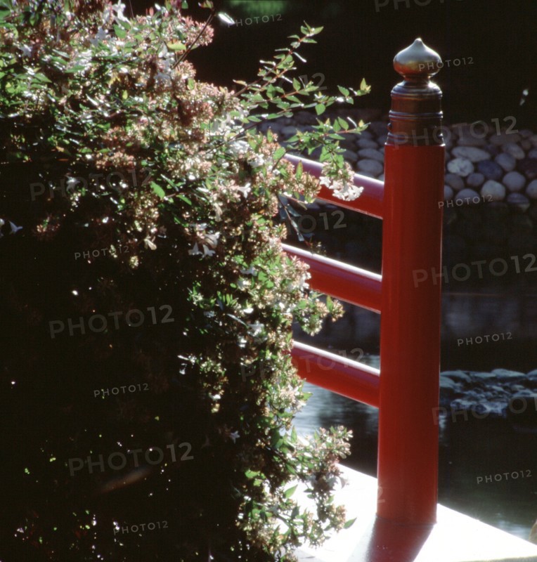Monaco, Jardin Japonais