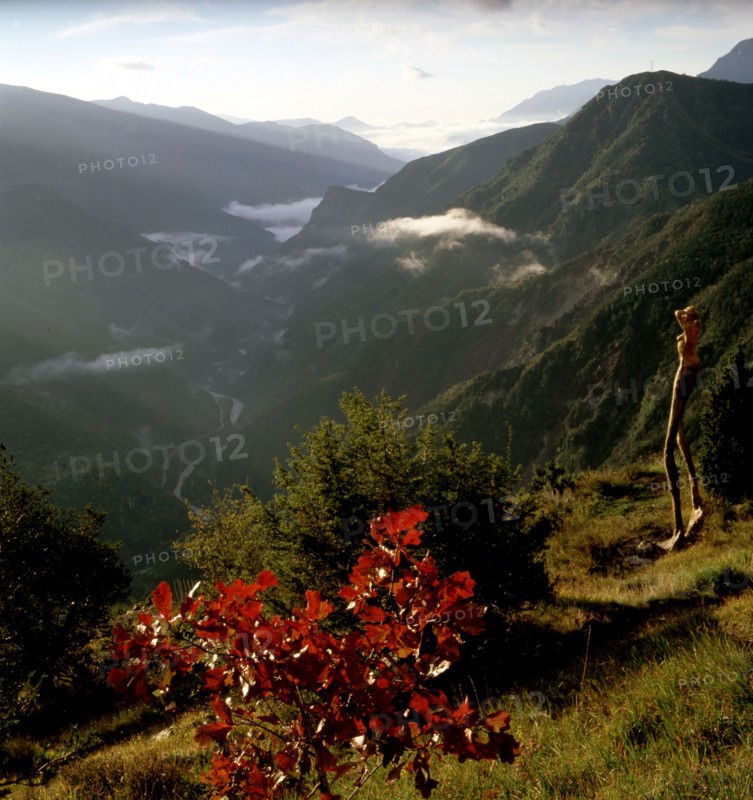 Arboretum de Roure (Alpes-Maritimes)