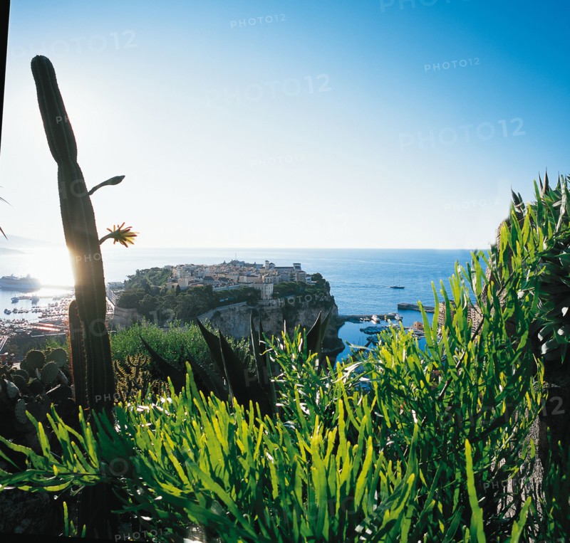 Monaco, Jardin exotique
