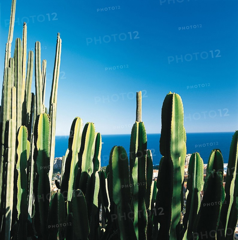 Monaco, Jardin exotique