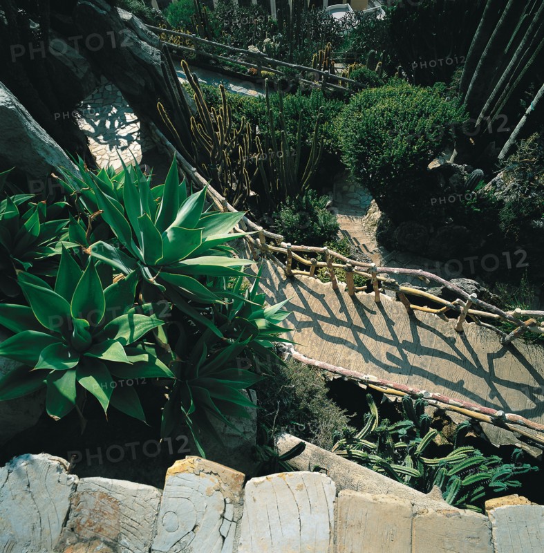 Monaco, Jardin exotique
