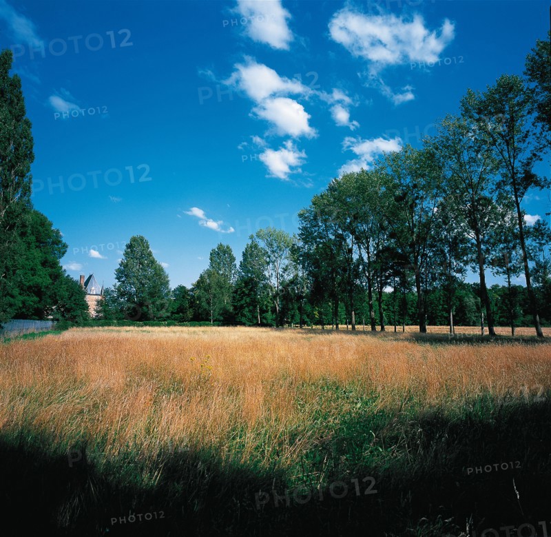 Parc du château de Marchais (Aisne)