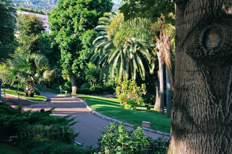 Monaco, jardin de la Petite Afrique, appartenant à la famille Grimaldi