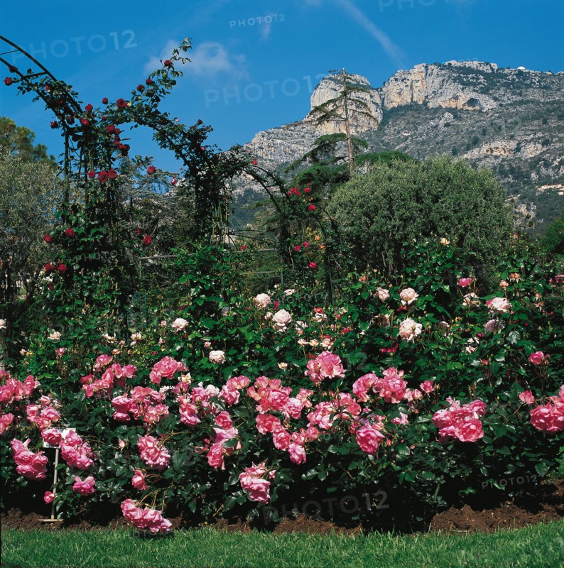 Monaco, Roseraie de la princesse Grace