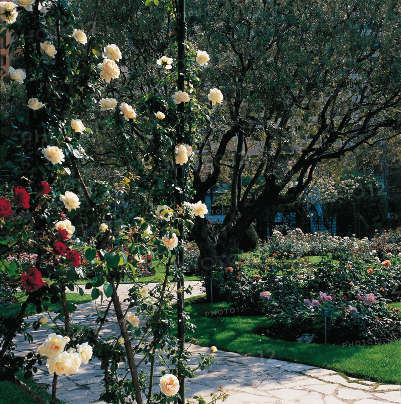 Monaco, Roseraie de la princesse Grace