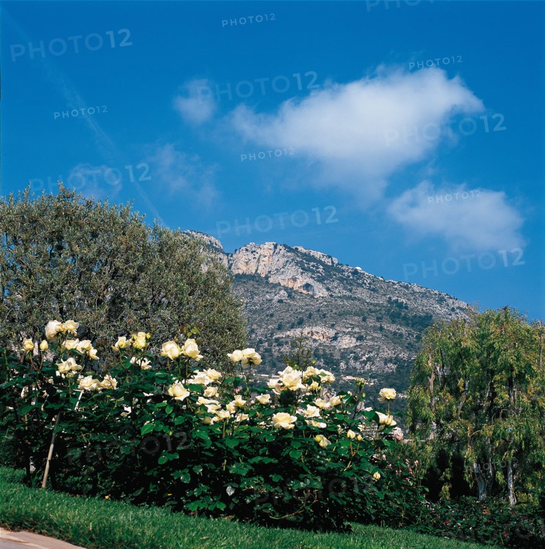 Monaco, Roseraie de la princesse Grace