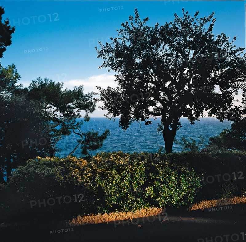 Monaco, Jardins Saint-Martin