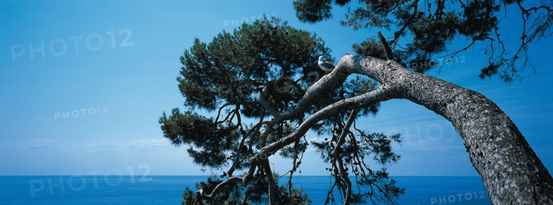 Monaco, Jardins Saint-Martin
