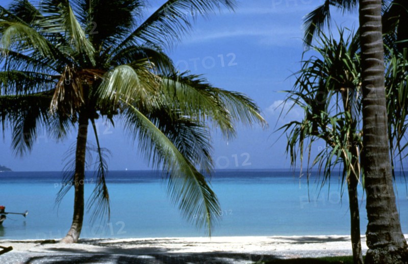 Landcape on the Seychelles Islands