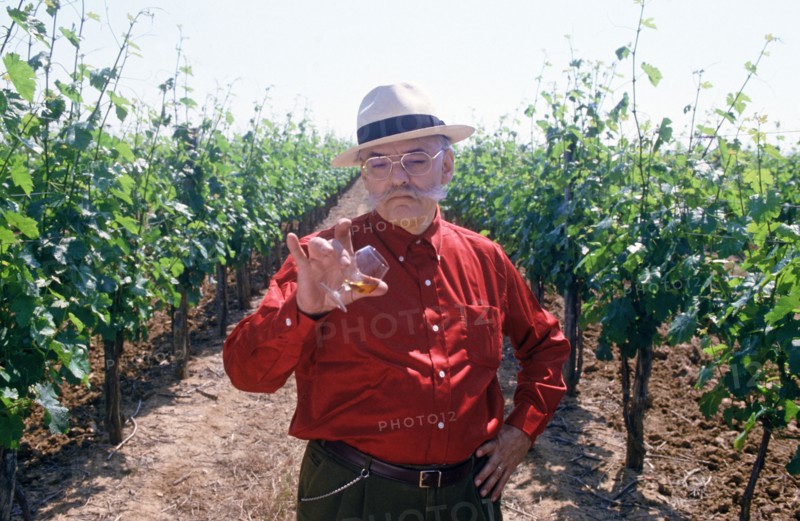 Michel Cardoze, 1990