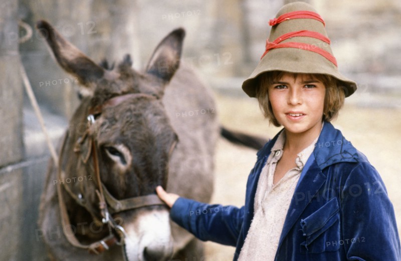 Sans famille (TV series)