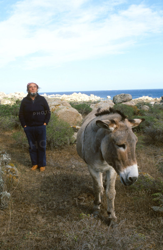 Marco Ferreri, 1989
