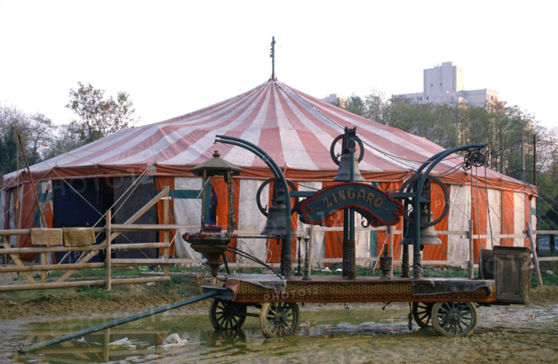 Le théâtre équestre Zingaro