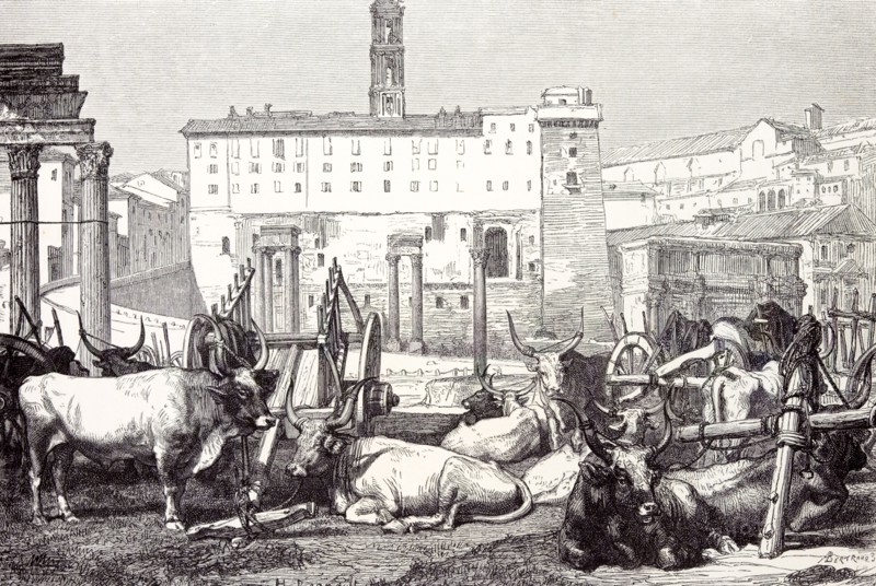 Rome Italy 1875, the Roman Forum
