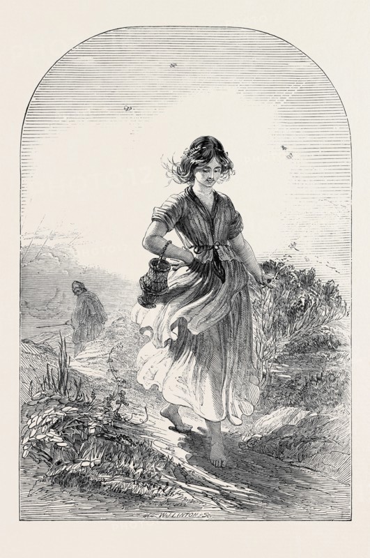 "LIGHT", PAINTED BY JENKINS, FROM THE NEW WATER COLOUR SOCIETY'S EXHIBITION