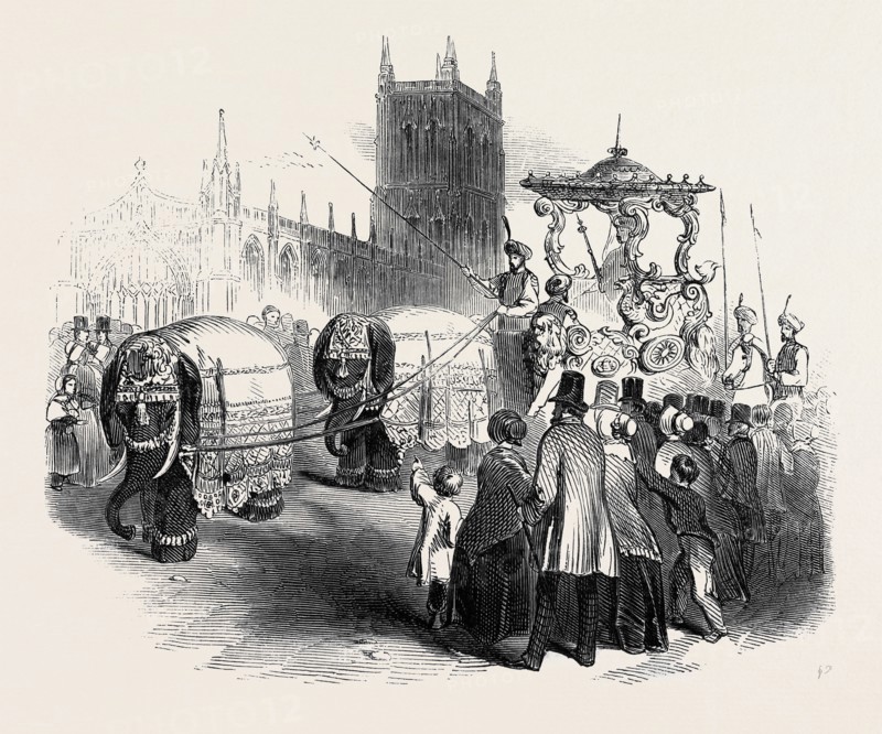 HUGHES'S ELEPHANT CARRIAGE, AT GLOUCESTER