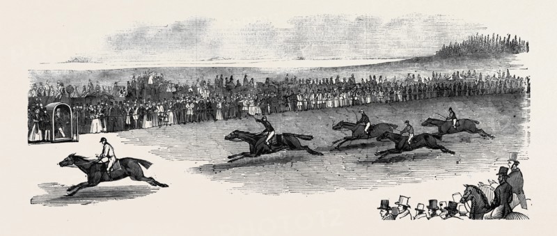 THE 2000 GUINEA RACE, NEWMARKET