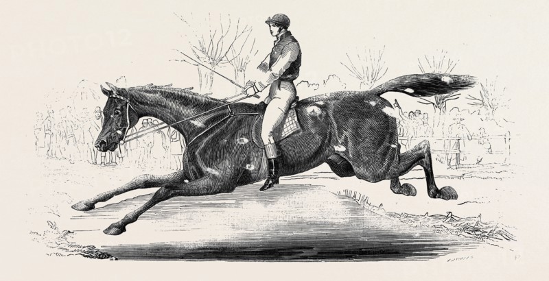 THE HARROW STEEPLE CHASE, THE LAST BROOK
