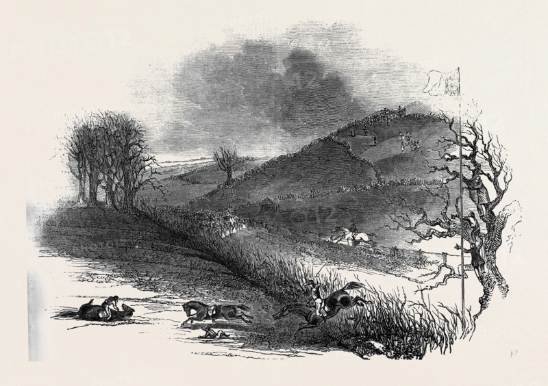 THE NORTHAMPTON STEEPLE CHASE.