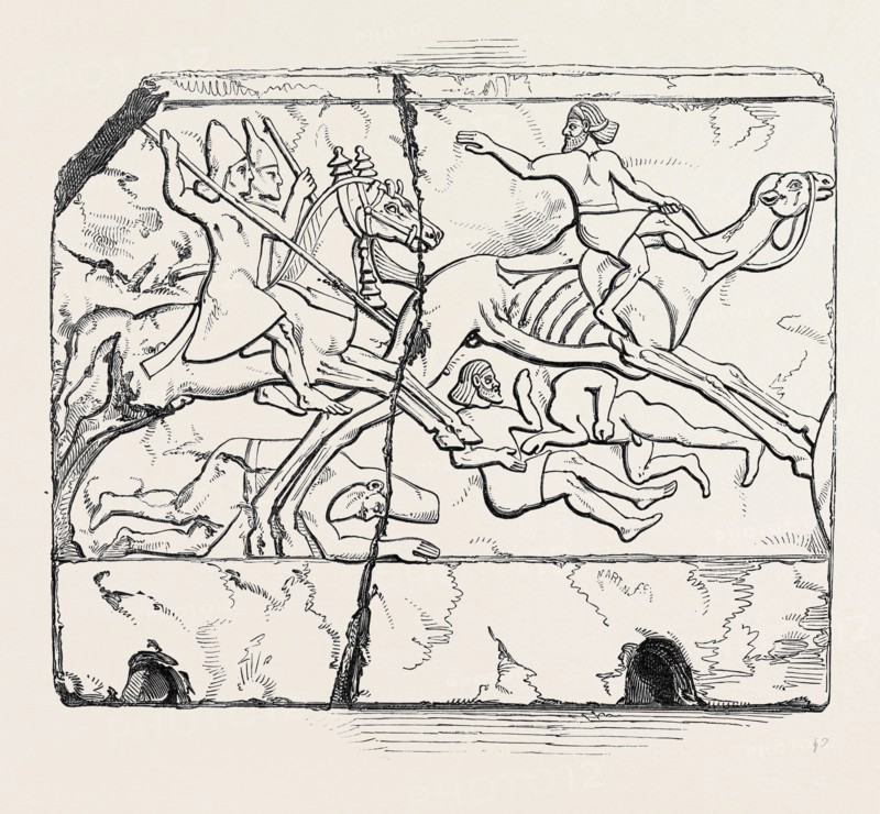 FLIGHT OF AN ARAB MOUNTED UPON A CAMEL; NIMROUD SCULPTURES, JUST RECEIVED AT THE BRITISH MUSEUM