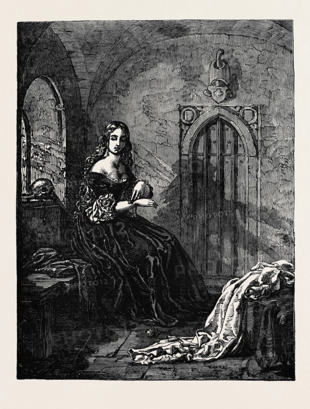 EXHIBITION OF THE BRITISH INSTITUTION, No. 138. "THE NOVICE" PAINTED BY ALEXANDER JOHNSTON