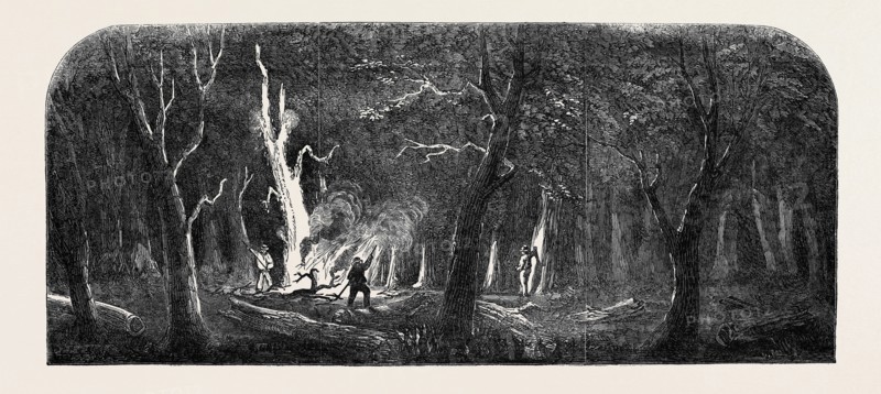 PANORAMA OF THE OHIO, CLEARING A FOREST