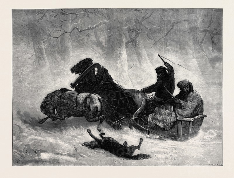 "TRAINEAU RUSSE", 1873