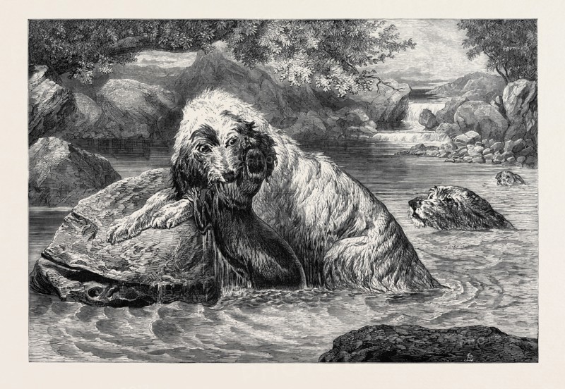 "OTTER HOUNDS," BY BASIL BRADLEY, 1873