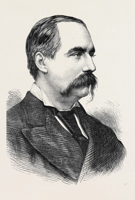 SIR W. PALLISER, 1873
