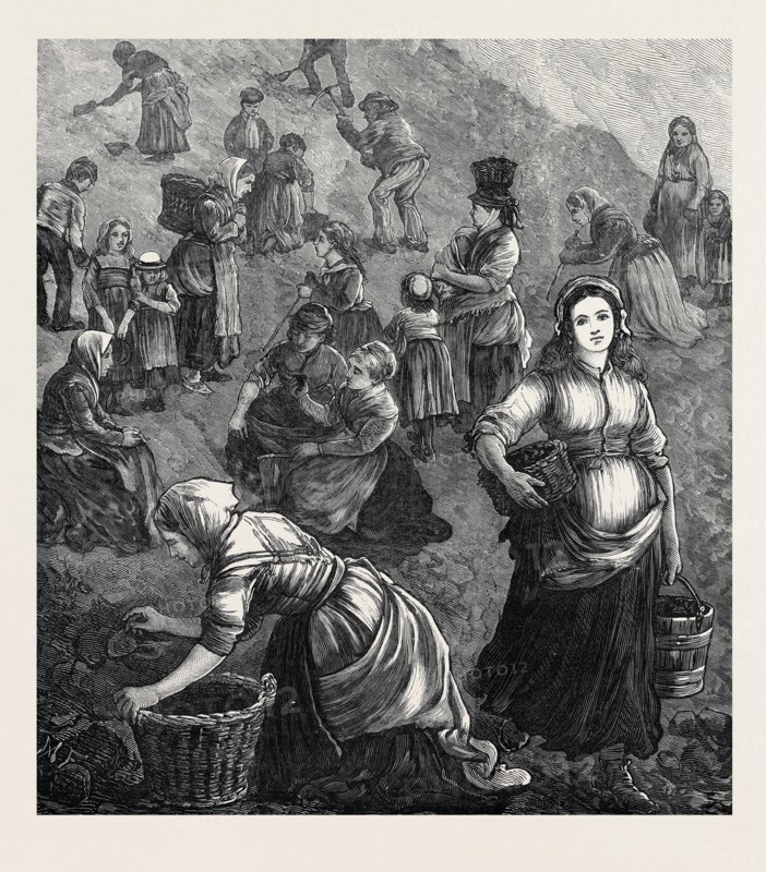 THE STRIKE IN SOUTH WALES: GATHERING SHINDLES FOR FUEL, 1873