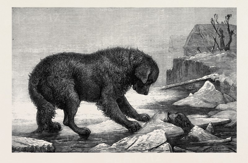 "EREBUS AND TERROR," BY J.W. BOTTOMLY