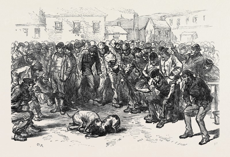 THE STRIKE IN SOUTH WALES: A SUNDAY'S AMUSEMENT, 1873