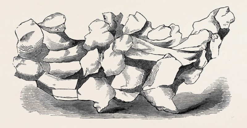 HAILSTONE, EIGHT OUNCES, NATURAL SIZE, FALLEN IN MESSINA, AUGUST 17, 1857
