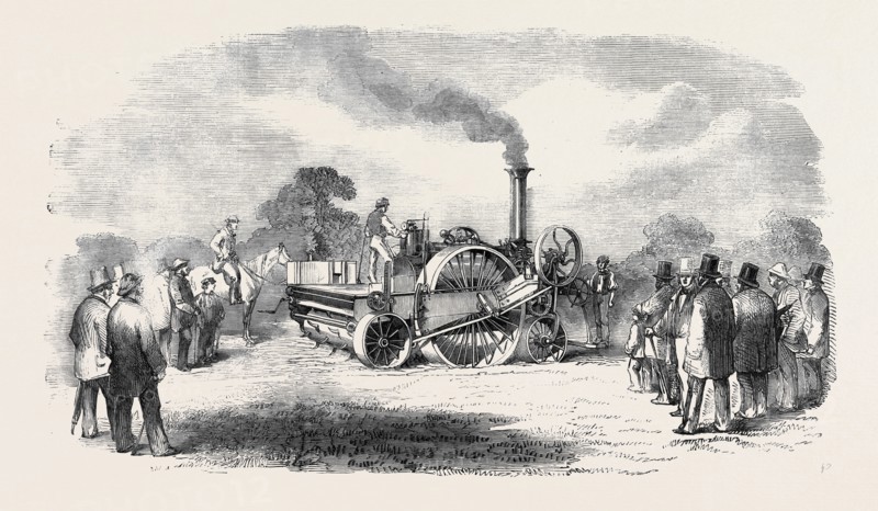 STEAM CULTIVATION: CROSSKILL'S ROMAINE CULTIVATOR