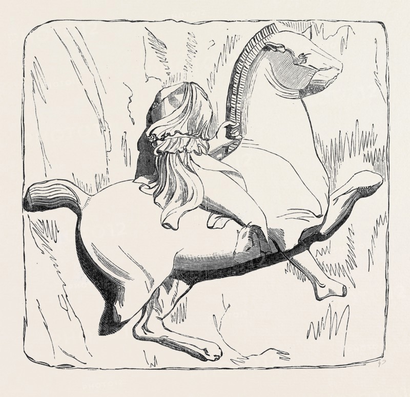NO. 1. AMAZONIAN CHIEF ON HORSEBACK, FROM THE TOMB OF MAUSOLUS