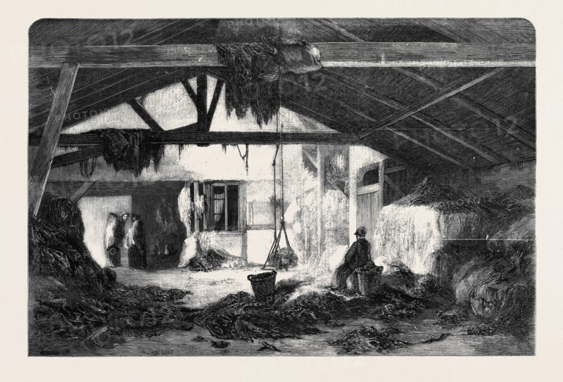 A RAG WAREHOUSE IN PARIS