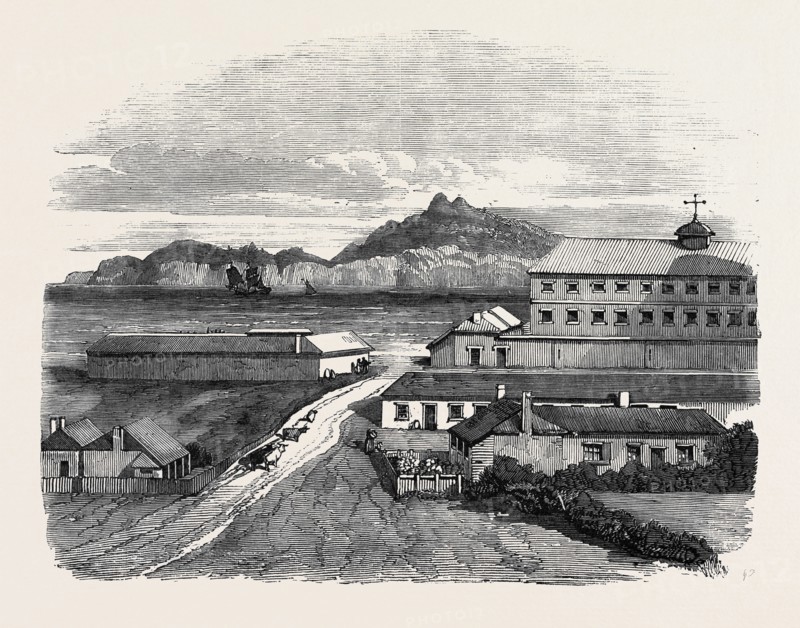 VIEW IN NORFOLK ISLAND, THE NEW HOME OF THE PITCAIRNERS