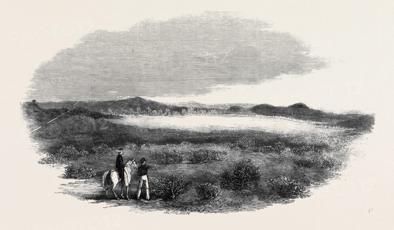 SITE OF A PROPOSED CAMP AT WOOLMER FOREST