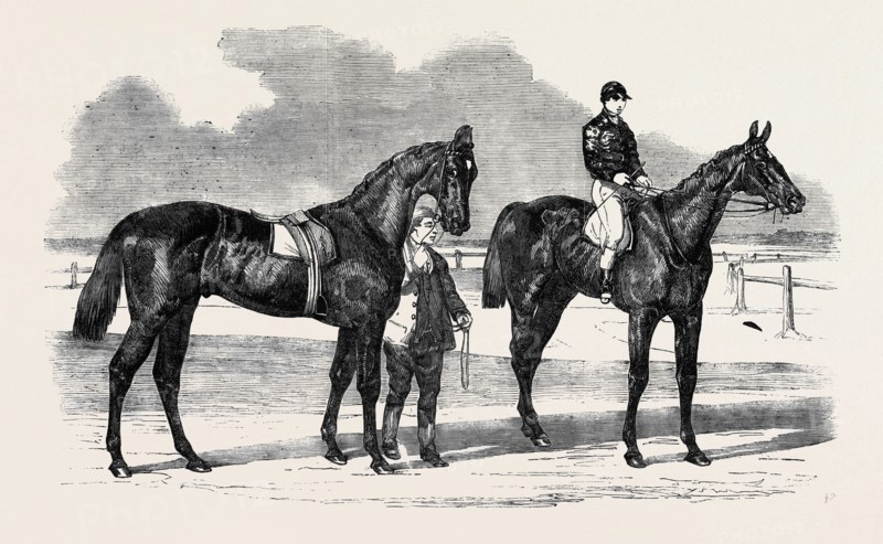 THE WINNERS OF THE DERBY AND THE OAKS, DRAWN BY BENJAMIN HERRING, MUSJID, THE WINNER OF THE DERBY; SUMMERSIDE, THE WINNER OF THE OAKS