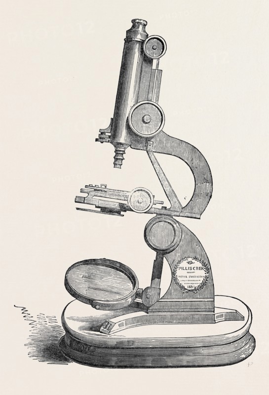 PILLISCHER'S MICROSCOPE, THE GREAT EXHIBITION
