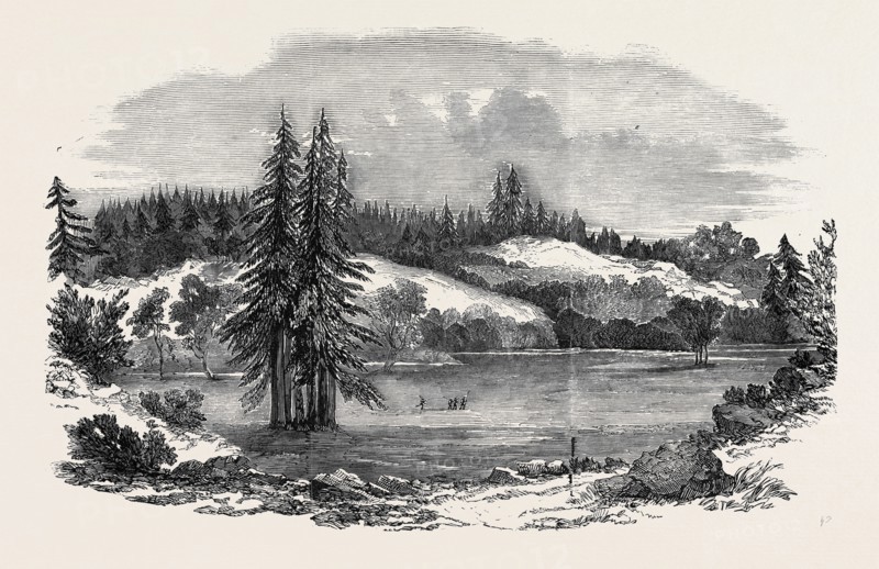 VIEW OF THE COUNTRY NEAR RUSSIAN RIVER, 100 MILES NORTH-WEST OF SAN FRANCISCO