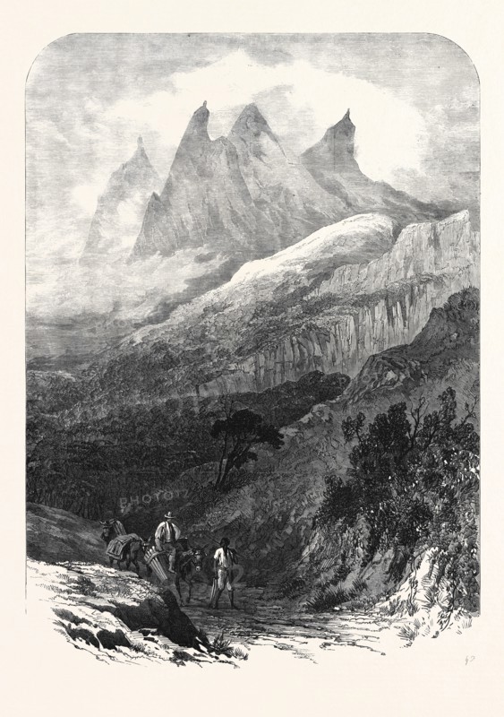 THE FRIAR'S HEAD, IN THE ORGAN MOUNTAINS, NEAR THERESOPOLIS, RIO DE JANEIRO, BRAZIL, 1869