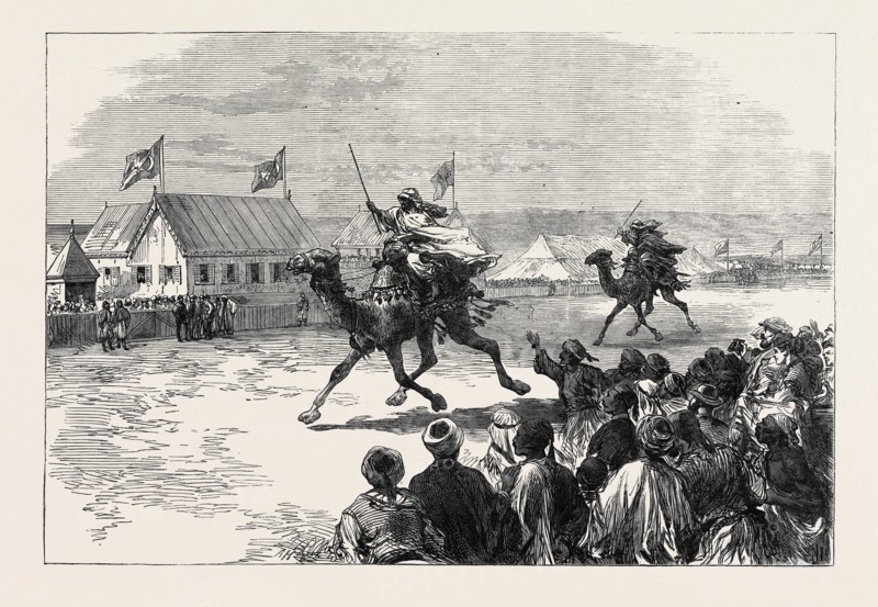 FETES OF THE VICEROY OF EGYPT AT CAIRO: THE DROMEDARY RACE, 1869